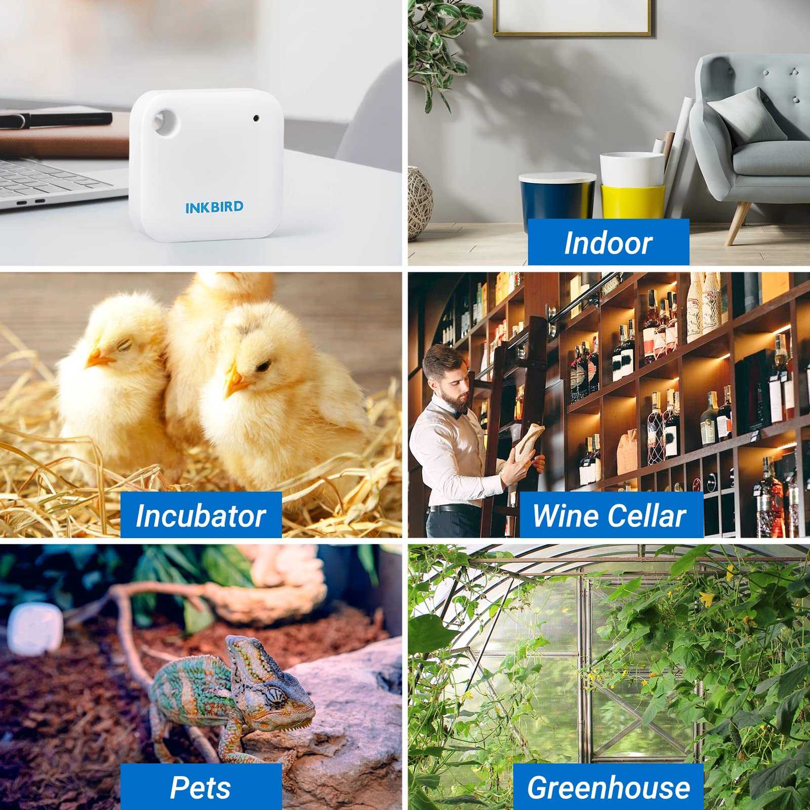 INKBIRD WiFi Thermometer Hygrometer Mesch Shop INKBIRD WiFi Thermometer Hygrometer Mesch Shop